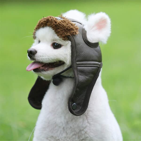 Grab and go dog trapper hat for winter