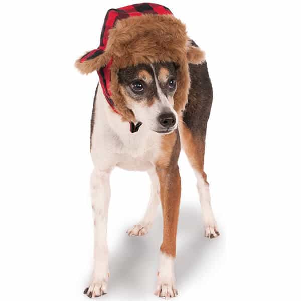 Furry looking dog trapper hat