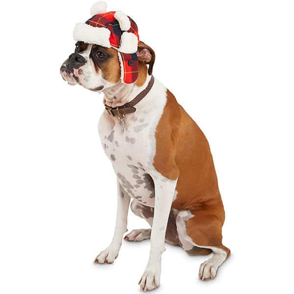 Checkered pattern trapper hat for pups