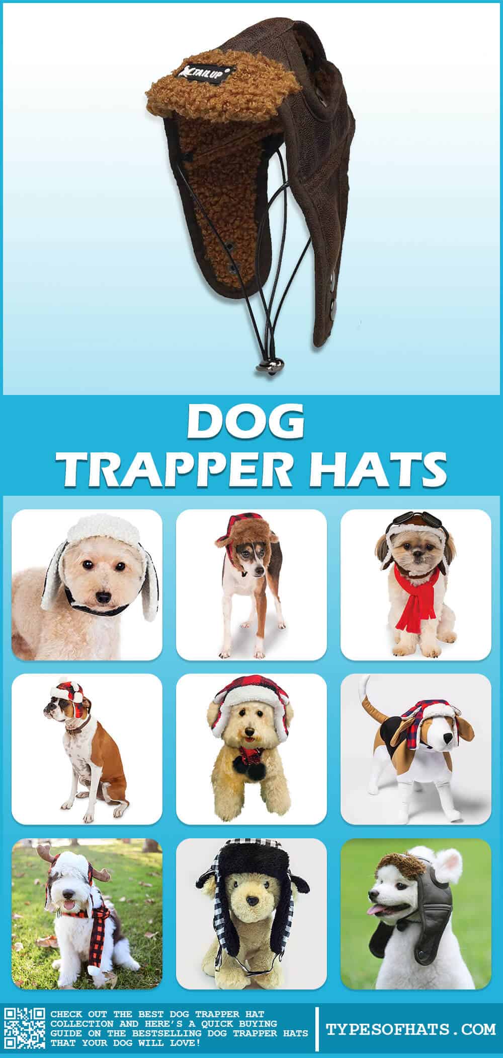 dog trapper hat