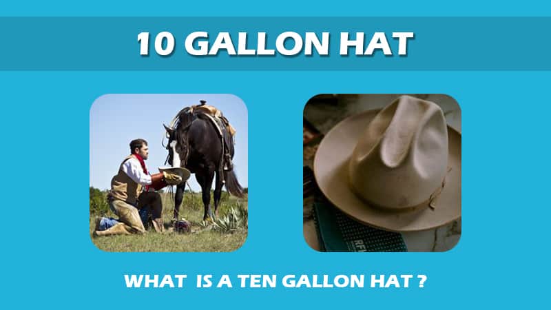 10 Gallon Hat