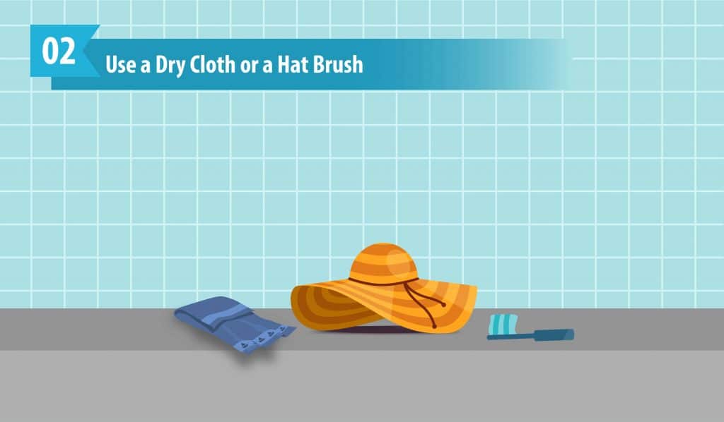 Use a Dry Cloth or a Hat Brush